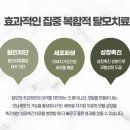 가르마