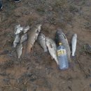 백학저수지 이미지