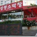 대구소막창 이미지