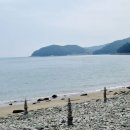 우후죽순 이미지