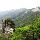 제 415회 정기산행 선운산 🌺(이루어 질수 없는 사랑..상사화를 찾아서) 이미지