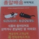 도기부기 이미지