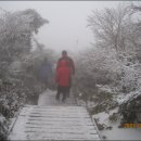 신년 해맞이 이미지