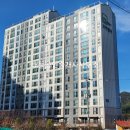 모아파크 이미지