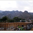 단양팔경투어 이미지