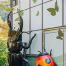 동락공원 화합의숲화장실 | 지금 가면 딱 좋은 화담숲 단풍시기와 관람시간 완벽 안내