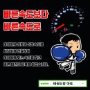 적성태권도장 이미지