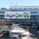 2016년산 쌀 변동직불금 ha당 211만원 지급 이미지