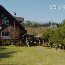 쉬자트리하우스