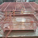 준요네집 이미지