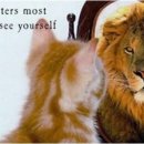 확신의 덫 이미지