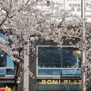 보미플라자 이미지