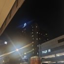 202306 자매 싱가포르여행 3박5일 -30벤쿨렌 트윈룸, 수영장 후기
