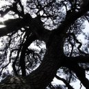 노곡리마을회관 이미지