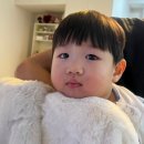 청우농장 | 2023년 마무리 이야기(연말 파티, 자부데이, 박민호 간장게장, 해운대 청우, 아난티 힐튼 후기)