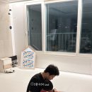 그레이트북스 베베코알라 책육아 3개월 기록 후기