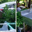 대바우가든 민박 이미지