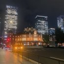 주말에도 신나휴(샤워타올 뜨개) | 도쿄 러닝 황궁런(고쿄런)🏃 / 도쿄 아식스 런스테이션 이용 후기