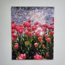 효령로68길 66 이미지