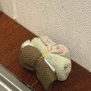 데이토나 펜션 이미지