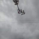 도연공인중개사사무소 이미지