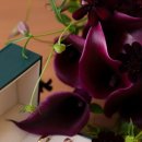 원도안로-24 이미지