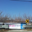 원동경운기
