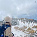 (주)뉴월드화북점 | 등린이 겨울 한라산 준비물 및 탐방로 예약 방법 제주도 핫앤쿡 오프라인 판매점