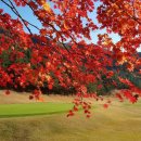 골프킹 아카데미 이미지