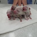 노산동물병원 이미지