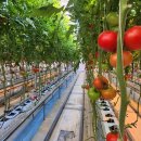 박대성농장 이미지