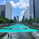 그늘막50 이미지