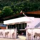 수지면 산촌마을 이미지