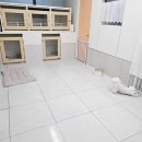 젤리펫살롱 이미지