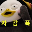 스카이리조트 이미지