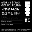 동핏 이미지