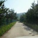 유천1제 이미지