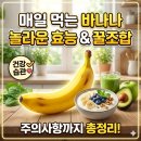 E그린세탁소 | [건강 정보] 매일 바나나를 먹으면 생기는 몸의 변화! 효능, 부작용, 황금 시간대 총정리 🍌