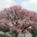 도봉-도봉-서울도봉-2123 이미지