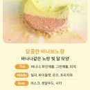 스위트 버블