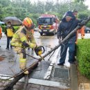 진사주공 이미지