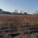 전원 부동산 중개인 사무소 이미지