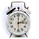 위더스동물병원 이미지