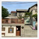 풀뿌리 흑두부 이미지