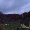 산마루농장 이미지