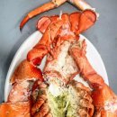 자갈치횟집 이미지