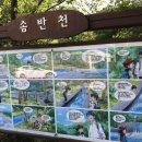 솜반내(솜반천) 이미지