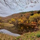 성산마을회관 | 안강 하곡리 은행나무, 성산서당, 수재정, 지경저수지 가을풍경