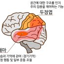 웰더스재활주야간보호센터