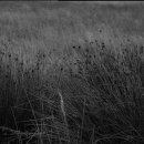 프레이저 플레이스 센트럴 서울 이미지